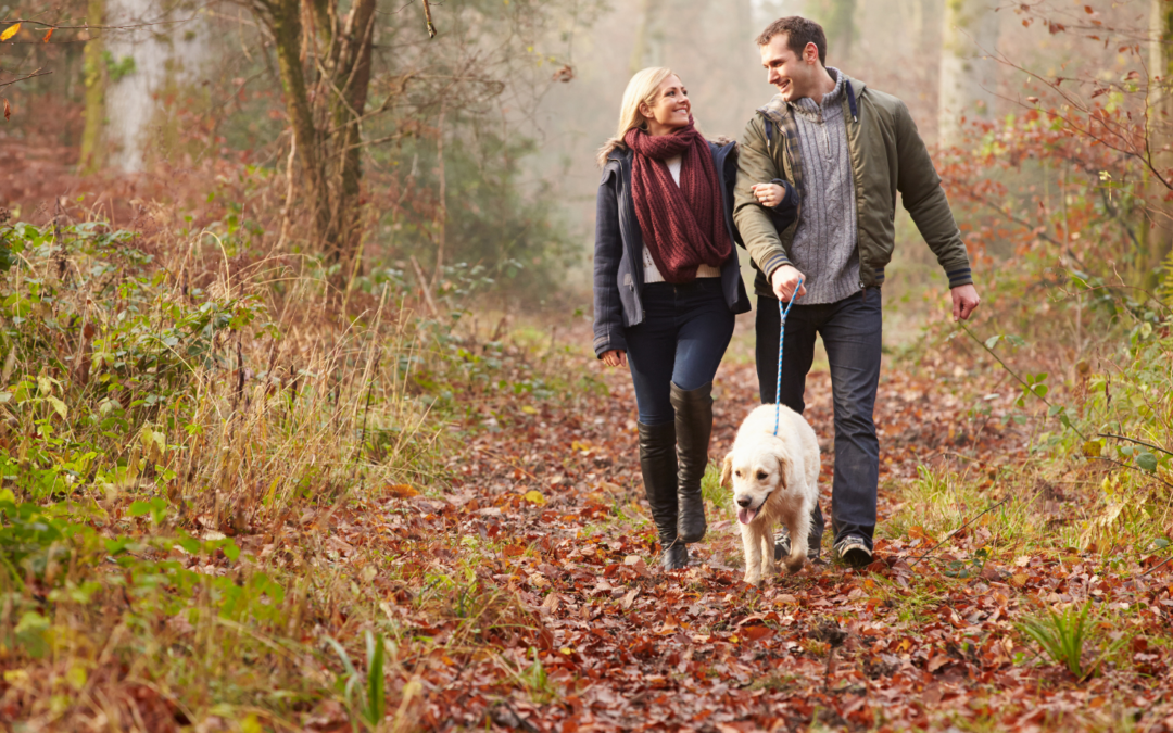 3 conseils pour un automne sans cigarette